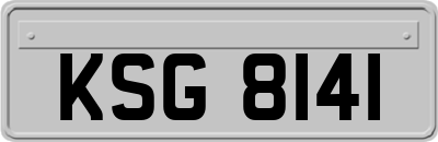 KSG8141