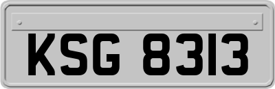 KSG8313