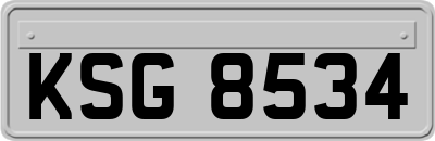 KSG8534