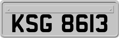 KSG8613