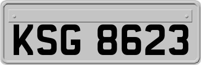 KSG8623