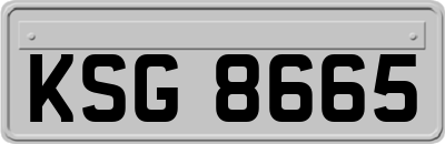 KSG8665