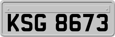 KSG8673
