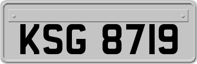 KSG8719