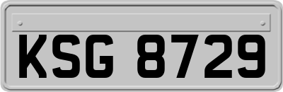 KSG8729