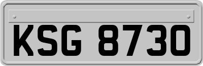 KSG8730