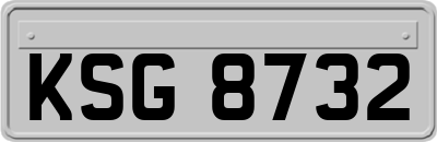 KSG8732