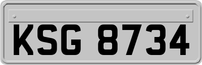 KSG8734