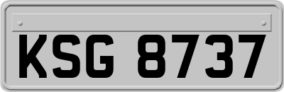 KSG8737