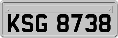 KSG8738