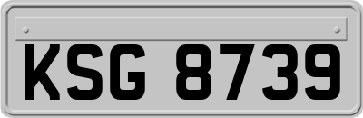 KSG8739
