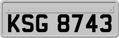 KSG8743