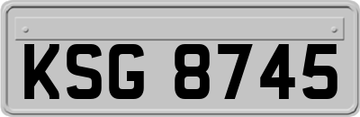 KSG8745