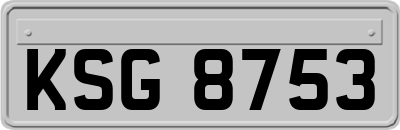 KSG8753