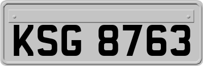 KSG8763