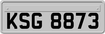 KSG8873