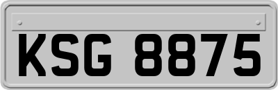 KSG8875