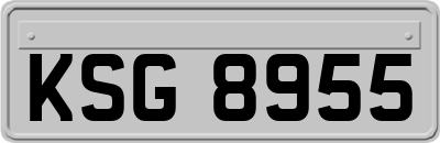 KSG8955