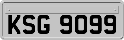 KSG9099