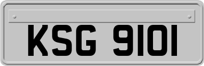 KSG9101