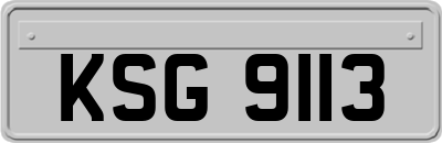 KSG9113