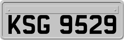 KSG9529
