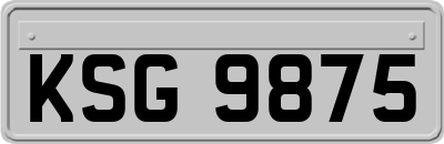 KSG9875