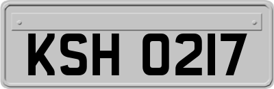 KSH0217