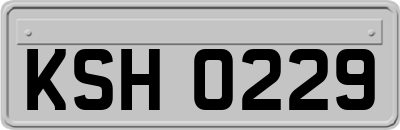 KSH0229