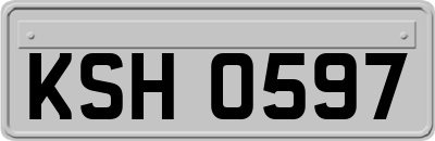 KSH0597
