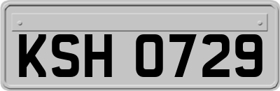 KSH0729