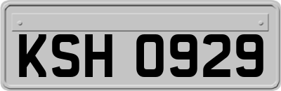 KSH0929