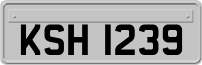 KSH1239
