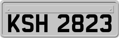 KSH2823