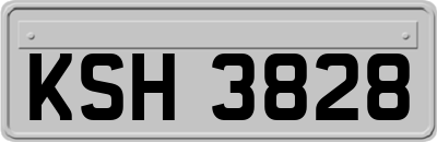 KSH3828