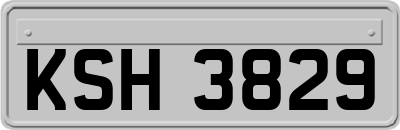 KSH3829