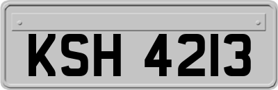 KSH4213