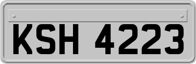 KSH4223
