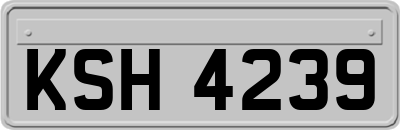 KSH4239