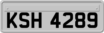 KSH4289