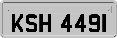 KSH4491