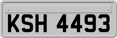 KSH4493