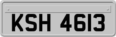 KSH4613