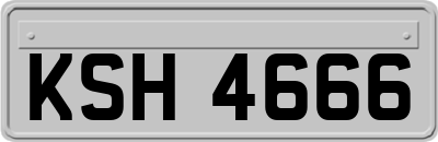 KSH4666