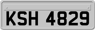 KSH4829