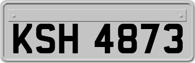 KSH4873