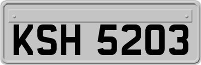 KSH5203