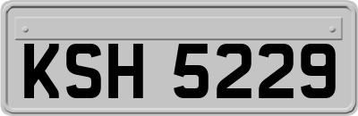 KSH5229
