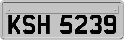 KSH5239