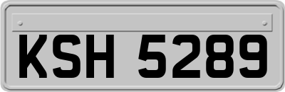 KSH5289